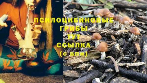 дурь Алексин